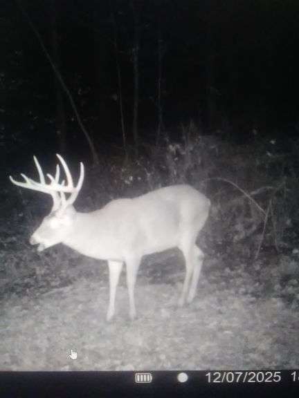 Tuscarawas County Land Auction  30.78 Acres Tippecanoe Area