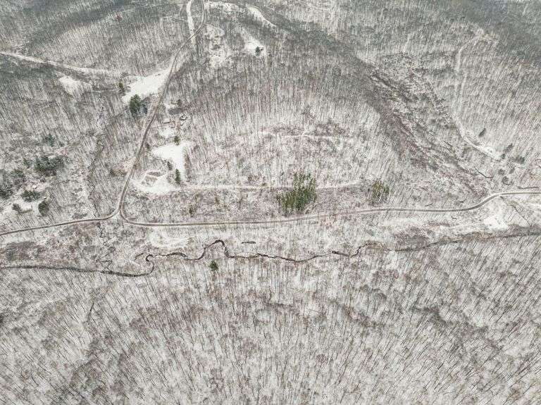 Tuscarawas County Land Auction  30.78 Acres Tippecanoe Area