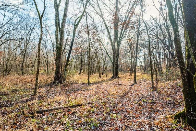 Prime Tillable & Wooded - Baker Farm