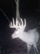 Tuscarawas County Land Auction  30.78 Acres Tippecanoe Area