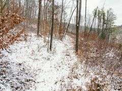 Tuscarawas County Land Auction  30.78 Acres Tippecanoe Area