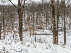 Tuscarawas County Land Auction  30.78 Acres Tippecanoe Area