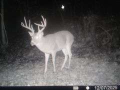 Tuscarawas County Land Auction  30.78 Acres Tippecanoe Area