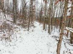 Tuscarawas County Land Auction  30.78 Acres Tippecanoe Area