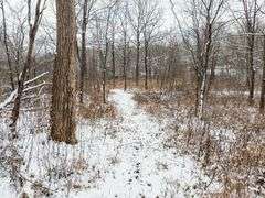 Tuscarawas County Land Auction  30.78 Acres Tippecanoe Area