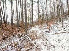 Tuscarawas County Land Auction  30.78 Acres Tippecanoe Area