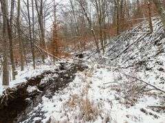 Tuscarawas County Land Auction  30.78 Acres Tippecanoe Area