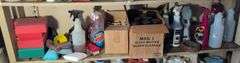 Shelf of glass cleaner, other cleaners, and other vehicle fluids