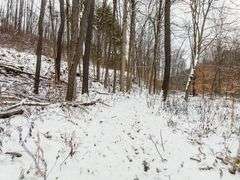 Tuscarawas County Land Auction  30.78 Acres Tippecanoe Area