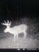 Tuscarawas County Land Auction  30.78 Acres Tippecanoe Area