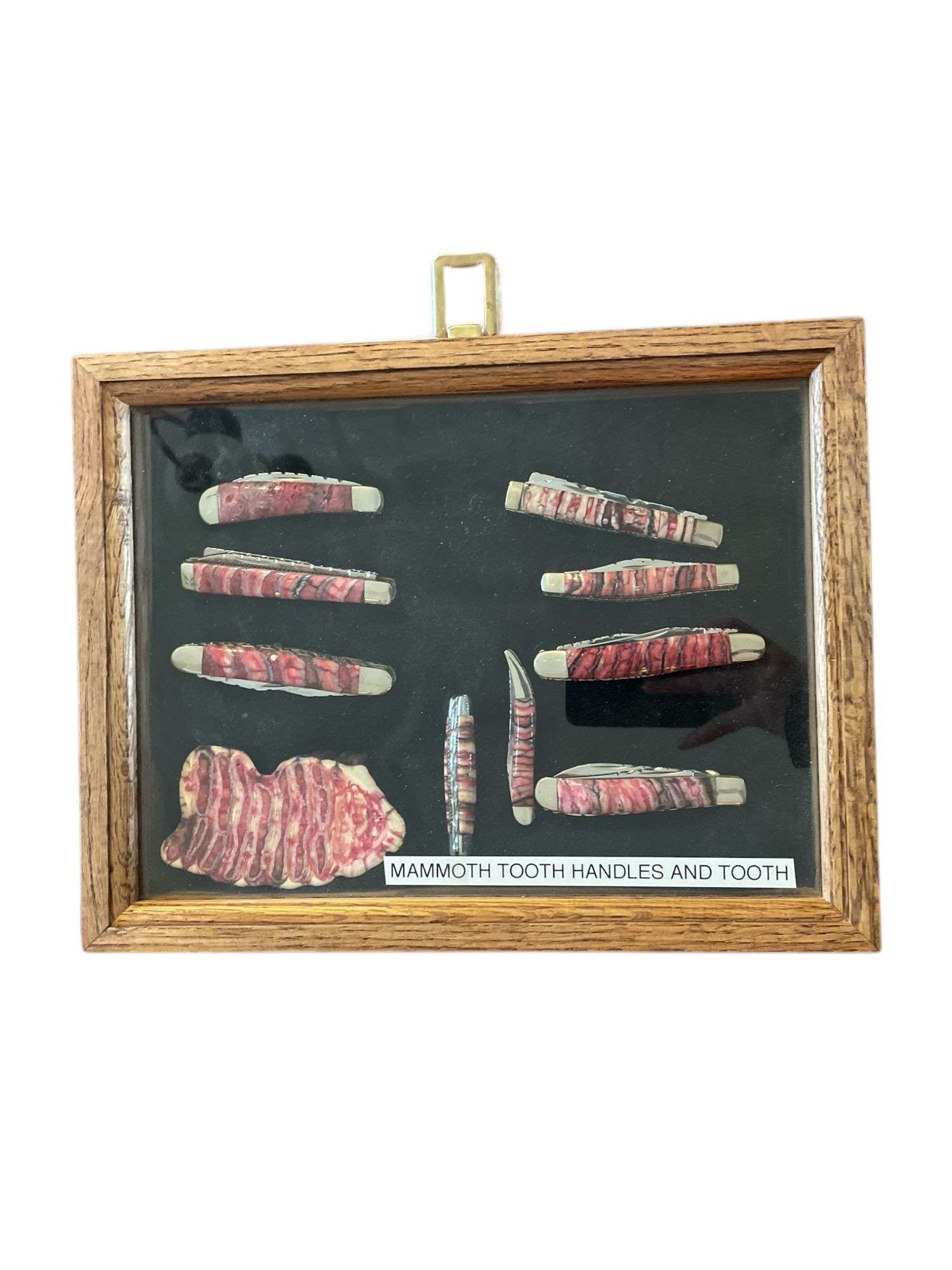 MAMMOTH TOOTH SET 9-Knives Plus Beautiful Piece of tooth.