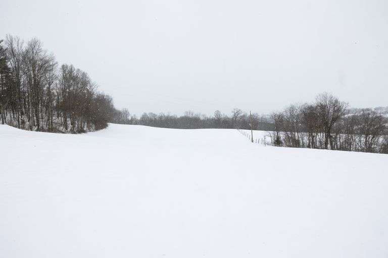 83.1 Acres | Expansive Fields & Wooded Hunting Grounds