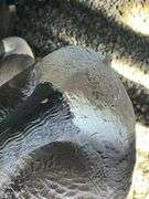 7 Canada Geese Decoy