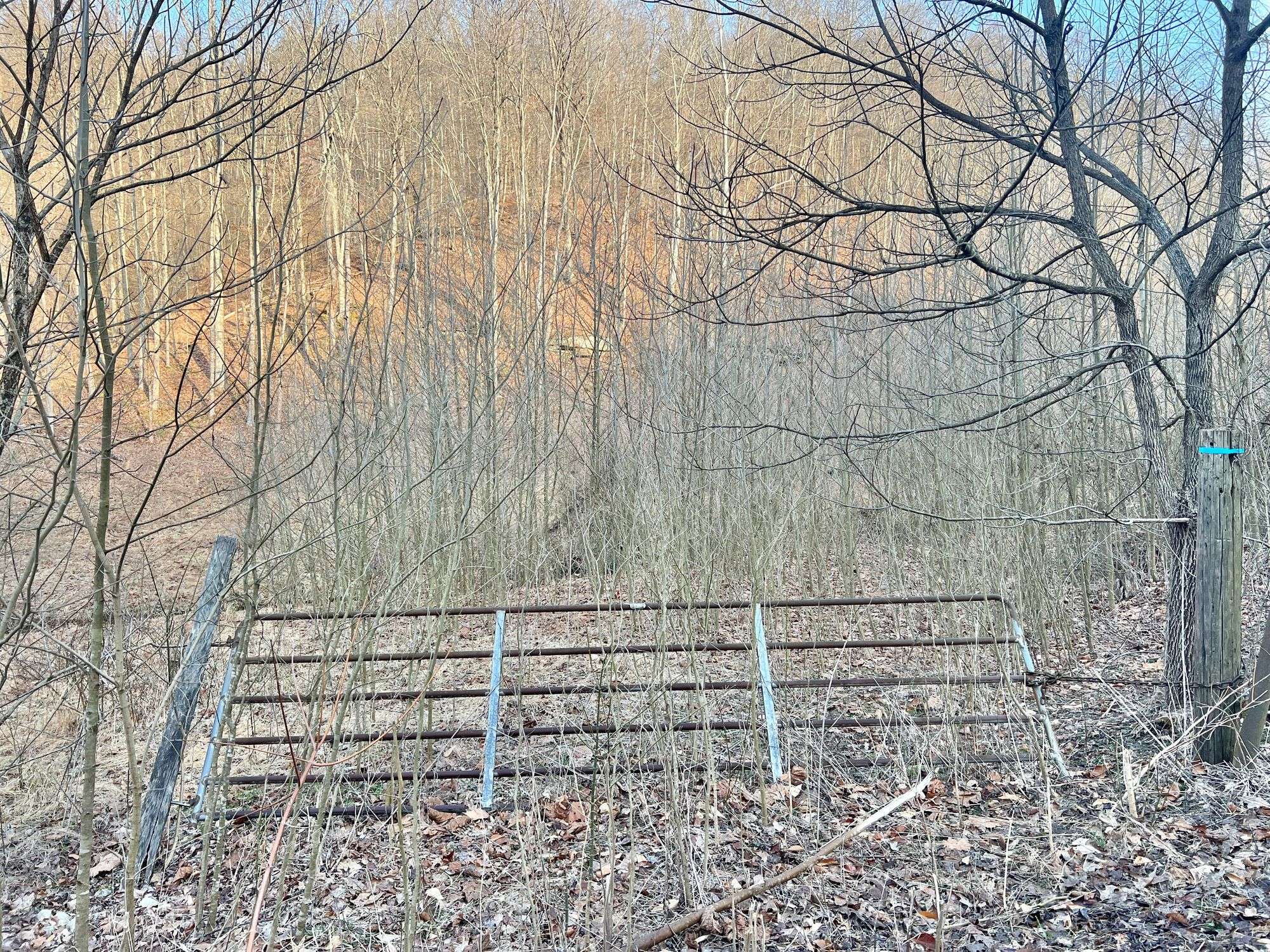 88+/- Acres Marion County Land
