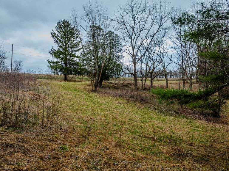 16.6 +/- Acres All woods with a nice pond