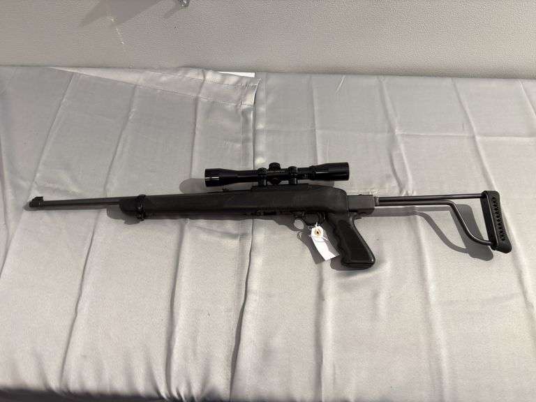 Ruger Model 10/22 .22 LR Caliber Carbine Rifle with Bushnell Scope