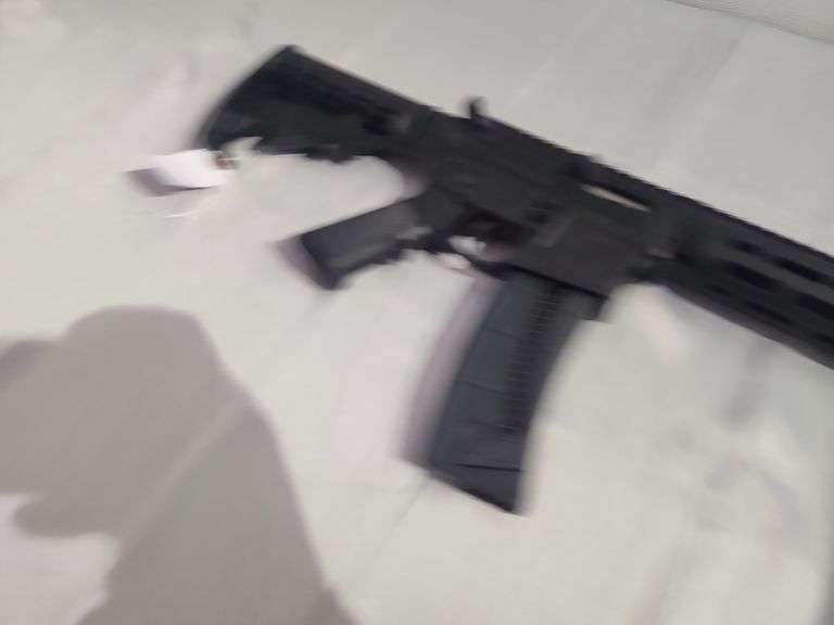 Smith & Wesson Model M&P 15-22 .22 LR semi-automatic rifle