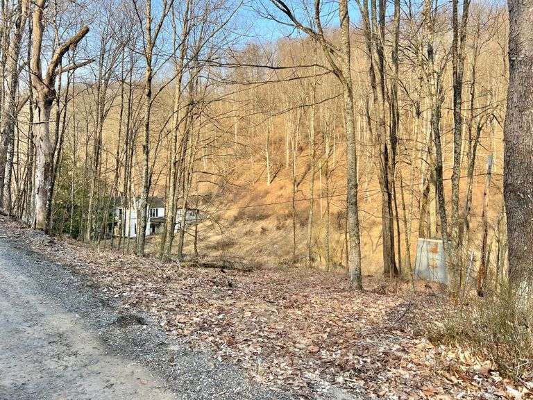 88+/- Acres Marion County Land