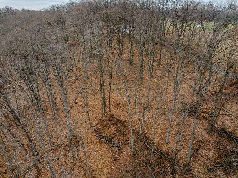 8.9 +/- Acres All woods great for hunting.