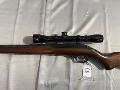 Marlin Firearms Model 60 Micro Groove Barrel .22 LR with Bushnell 4x Banner scope