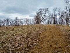 5.5 +/- Acres Farm land and woods. Great Building sites