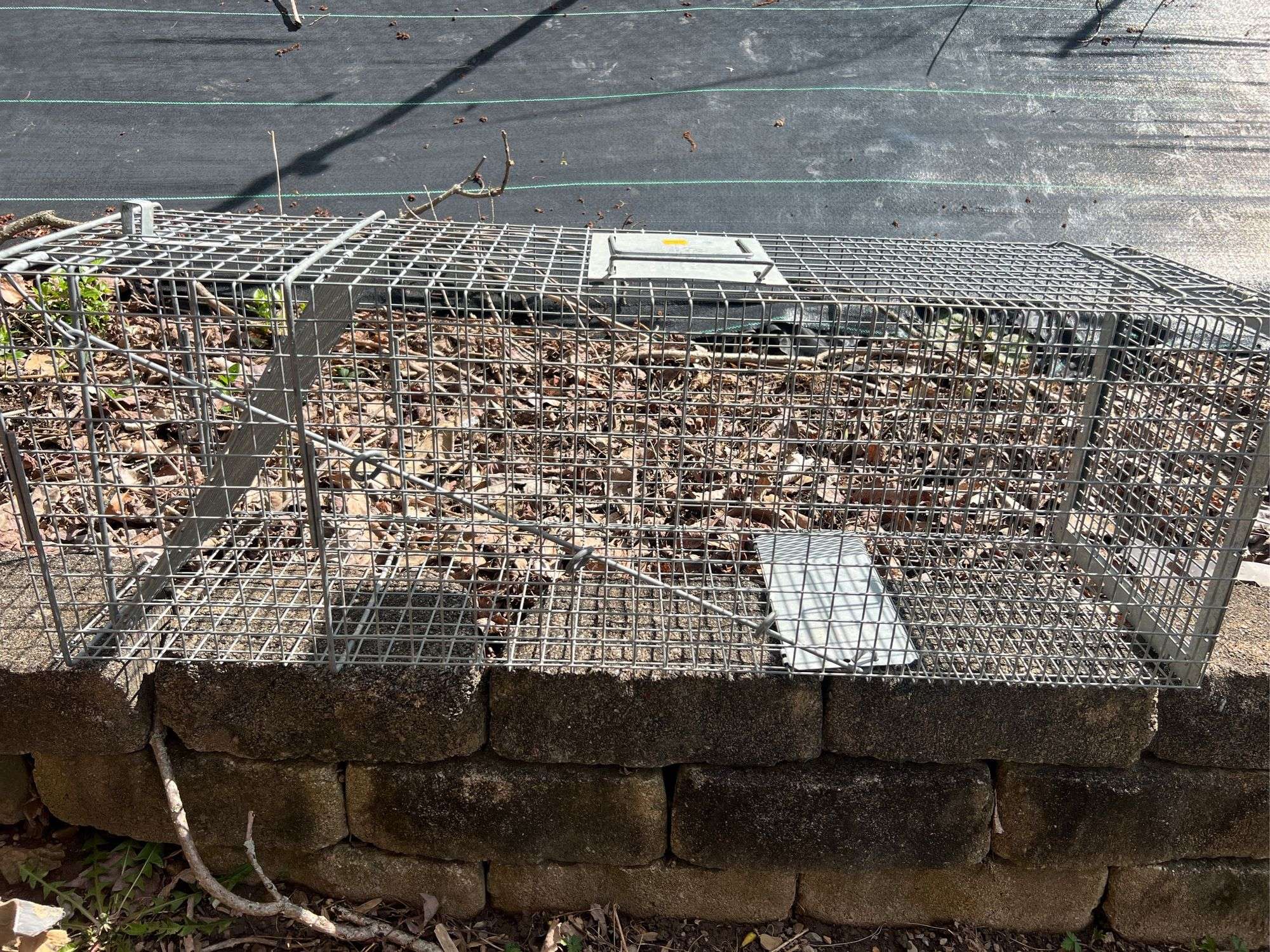 Safeguard Live Trap