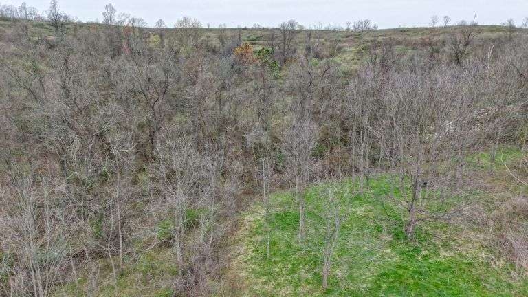 Parcel 1: 55 +/- acres w/ Homestead