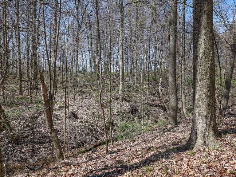 Homestead on 85.25 Acres