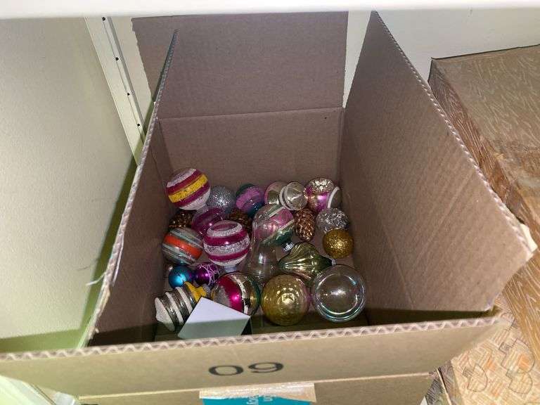 Shelf and Contents