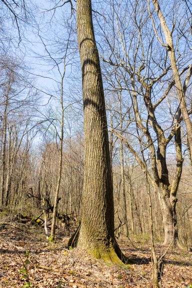 20.1 Acres