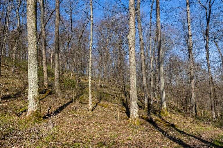20.1 Acres
