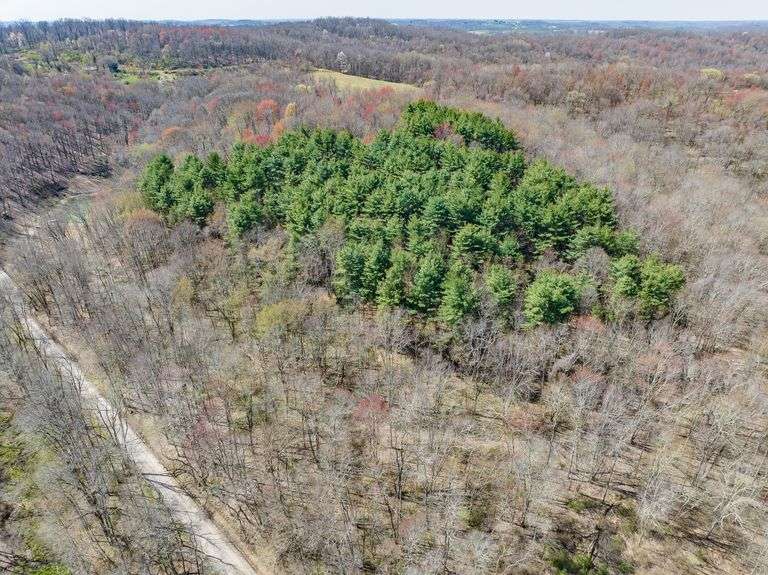 14 acres w/ Cabin