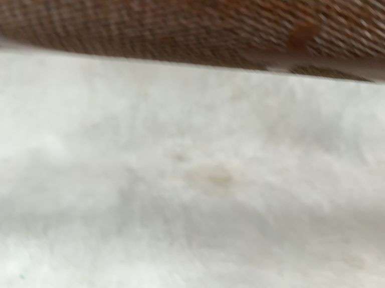 Remington Magnum Wingmaster Model 870 12 gauge