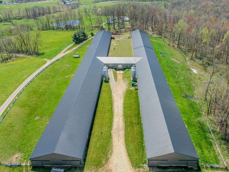 Chicken Barns on 9.6 Acres