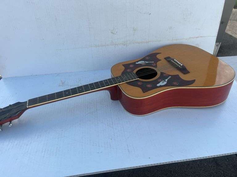 Ensenada Acoustic Guitar