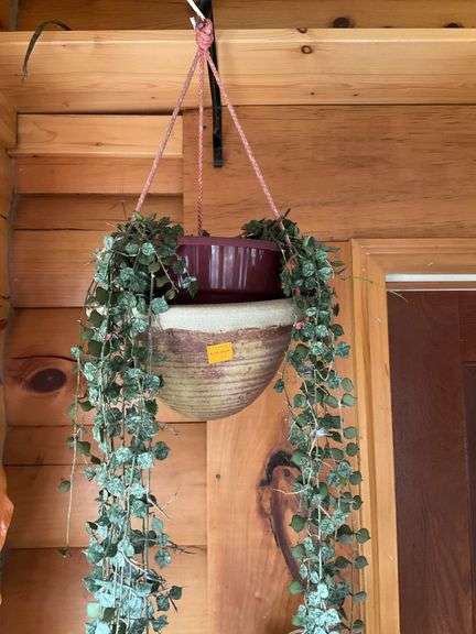 Houseplants and Plant Pedestal