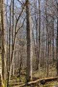 20.1 Acres