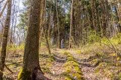 14 acres w/ Cabin