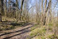 14 acres w/ Cabin