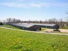 Chicken Barns on 9.6 Acres