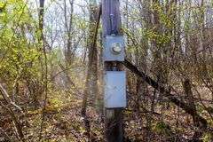 14 acres w/ Cabin