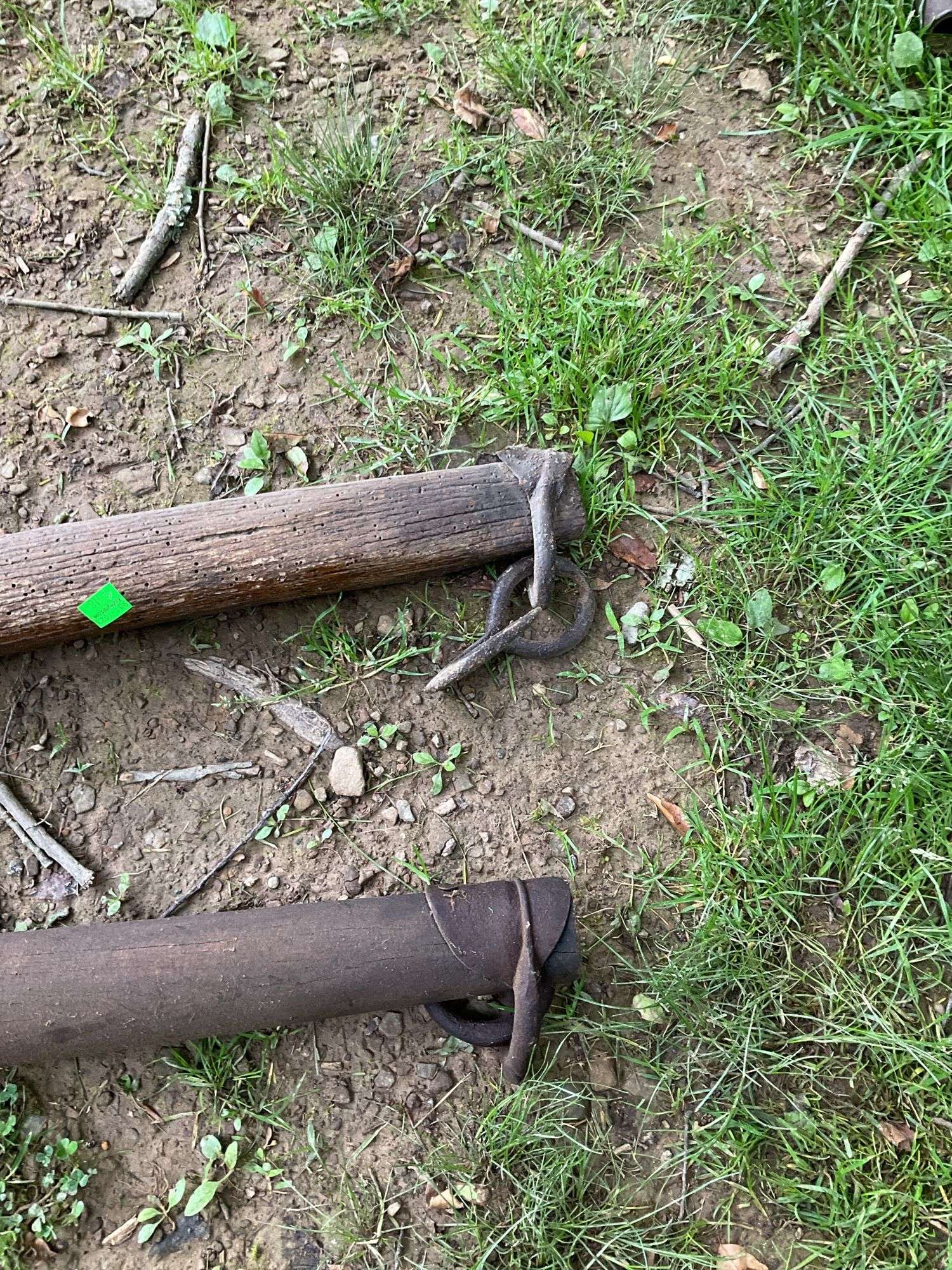 2 Single Trees