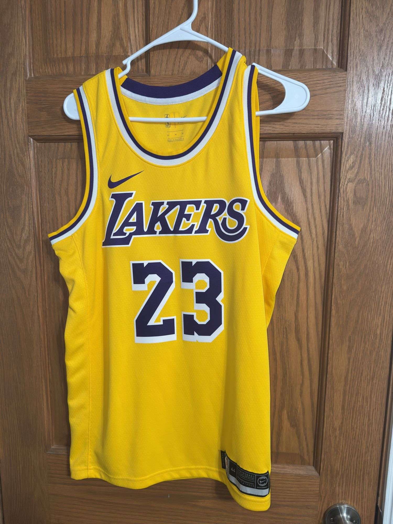 LeBron James Los Angeles Lakers Swingman Jersey (Size 44/M)