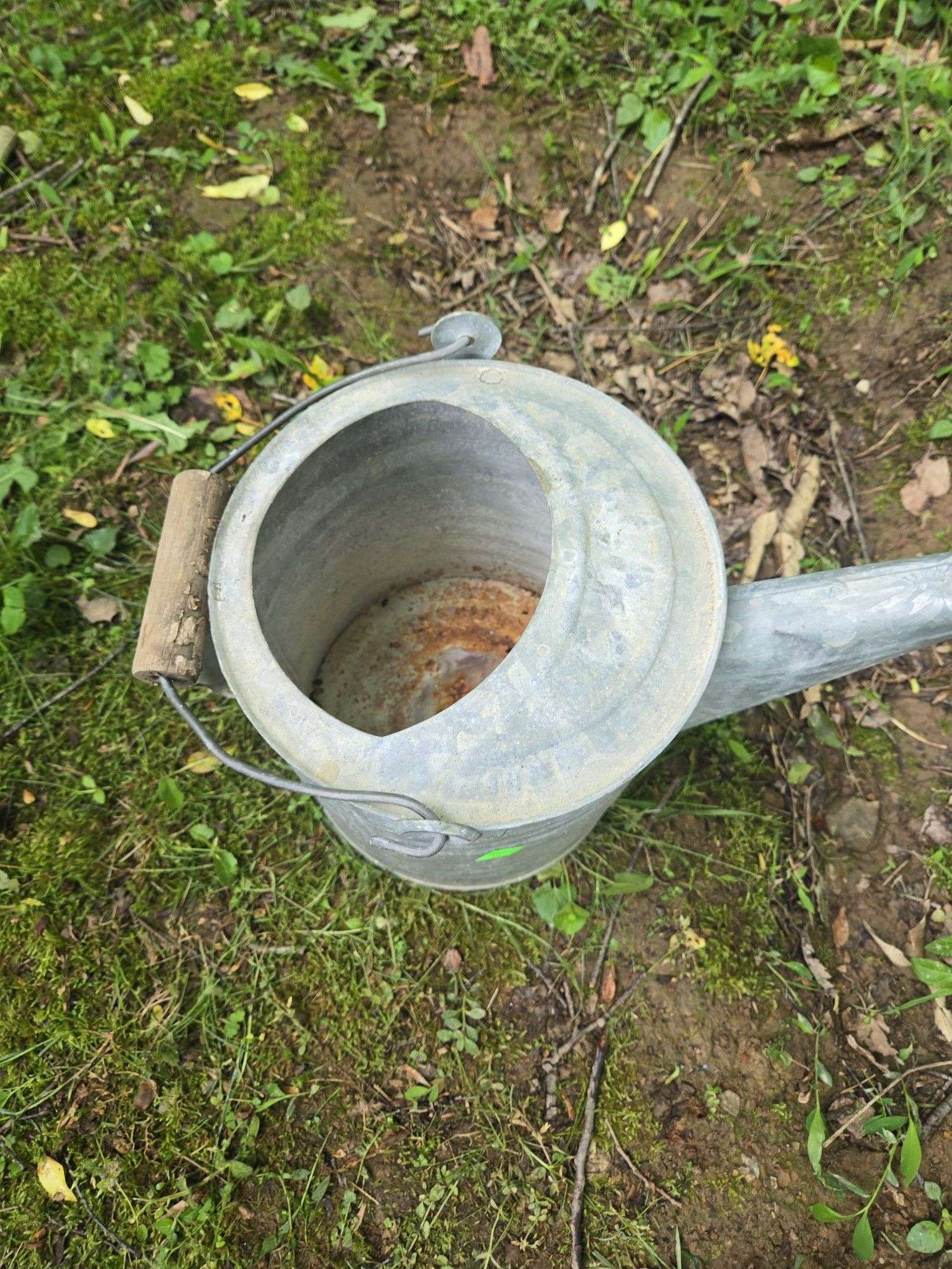 Galvanized Watering Can