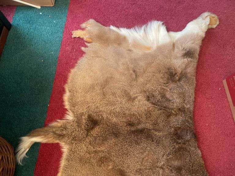 Whitetail deer skin