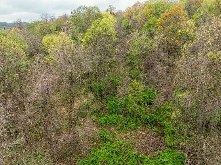 Iconic Dover Ohio 176.5 Acre Farm