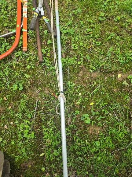 Assortment of Tree Trimmers and Pruners