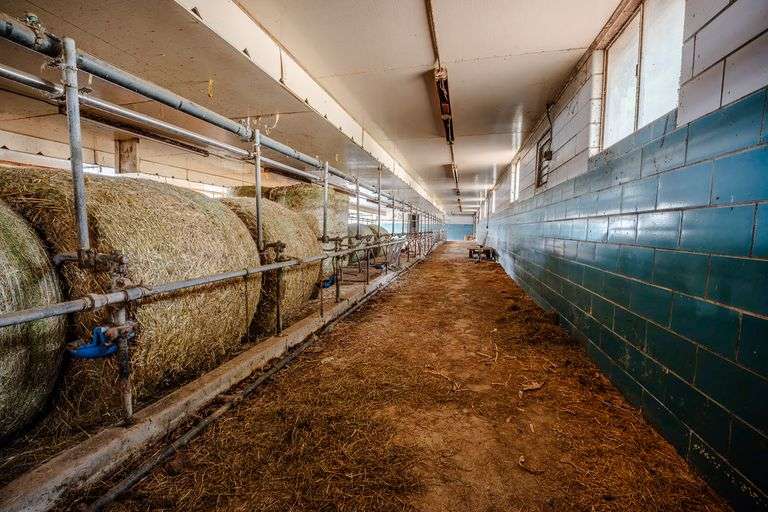 Iconic Dover Ohio 176.5 Acre Farm