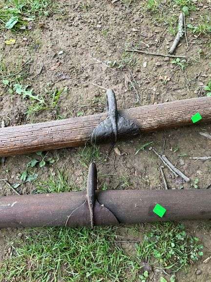 2 Single Trees