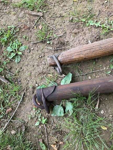 2 Single Trees
